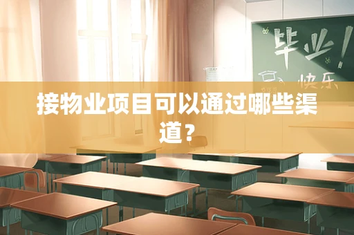 接物业项目可以通过哪些渠道？