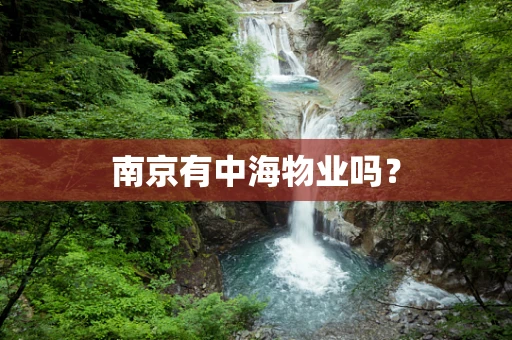南京有中海物业吗？