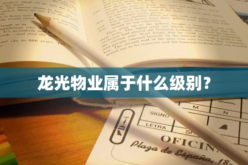 龙光物业属于什么级别？