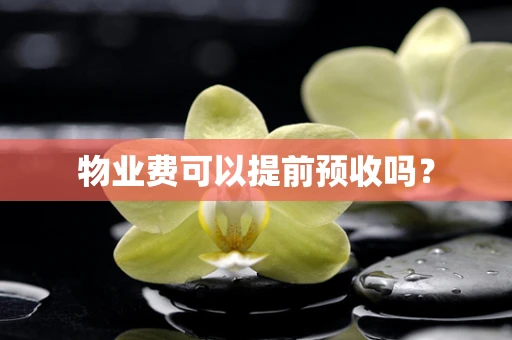 物业费可以提前预收吗？