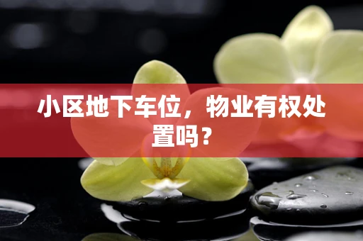 小区地下车位，物业有权处置吗？