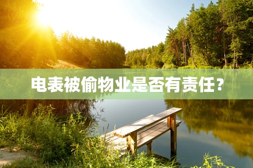 电表被偷物业是否有责任？