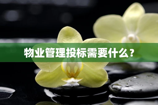 物业管理投标需要什么？