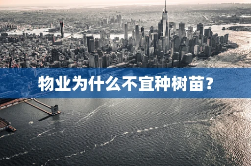 物业为什么不宜种树苗？