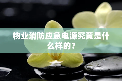 物业消防应急电源究竟是什么样的？