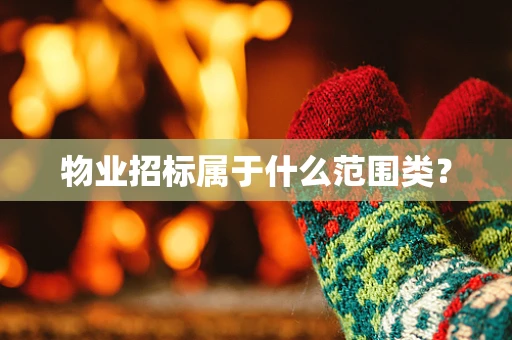 物业招标属于什么范围类？