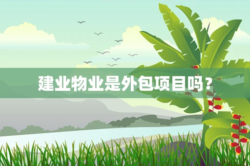 建业物业是外包项目吗？