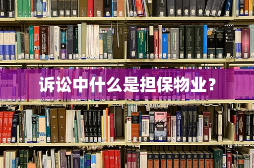 诉讼中什么是担保物业？