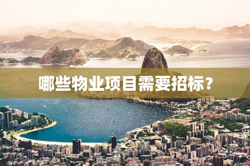 哪些物业项目需要招标？