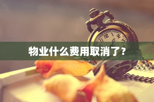 物业什么费用取消了？