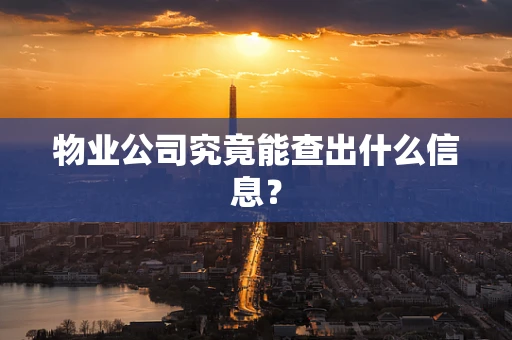 物业公司究竟能查出什么信息？