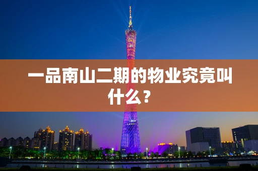 一品南山二期的物业究竟叫什么？