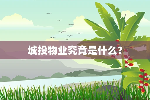 城投物业究竟是什么？