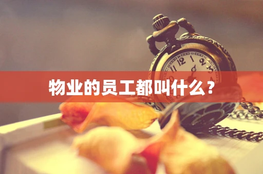 物业的员工都叫什么？