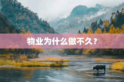 物业为什么做不久？