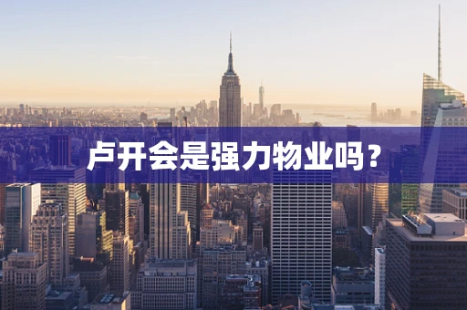 卢开会是强力物业吗？