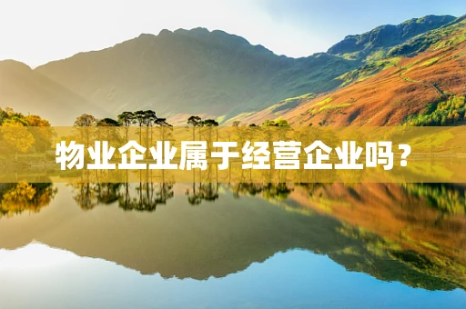 物业企业属于经营企业吗？