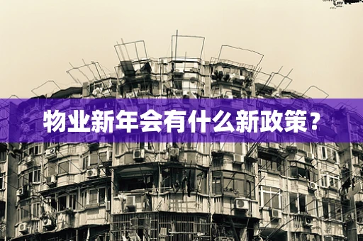 物业新年会有什么新政策？