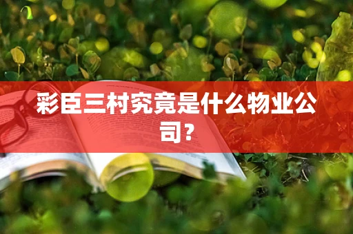 彩臣三村究竟是什么物业公司？