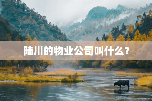 陆川的物业公司叫什么？