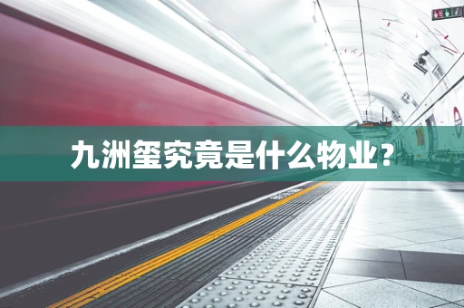 九洲玺究竟是什么物业？