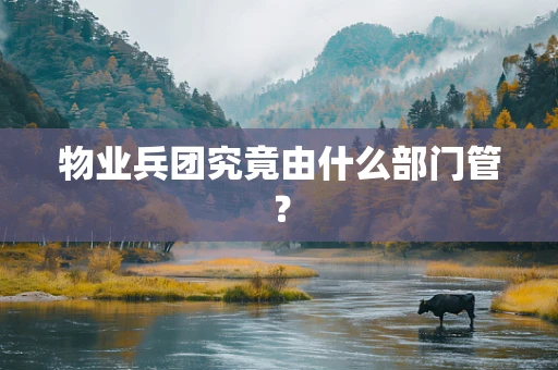 物业兵团究竟由什么部门管？