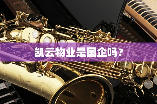 凯云物业是国企吗？