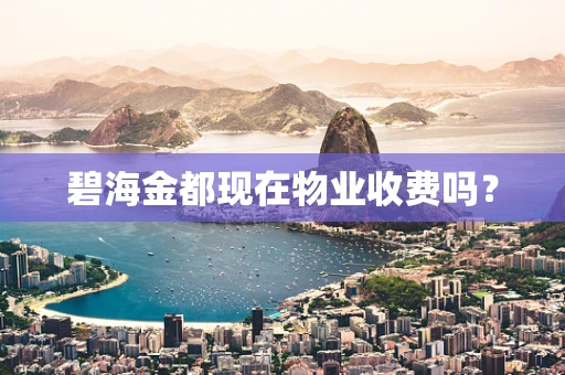 碧海金都现在物业收费吗？