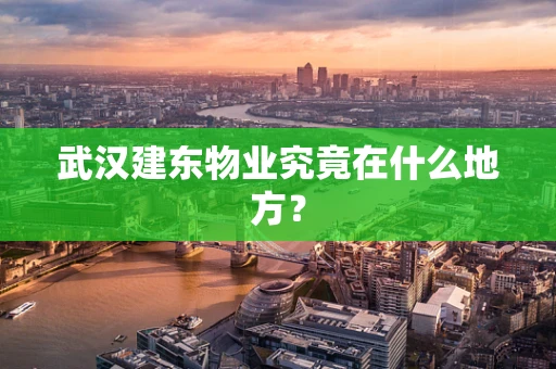 武汉建东物业究竟在什么地方？