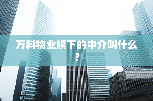 万科物业旗下的中介叫什么？