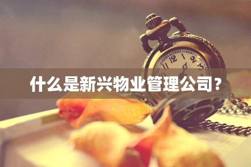 什么是新兴物业管理公司？