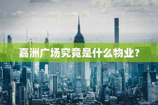 嘉洲广场究竟是什么物业？