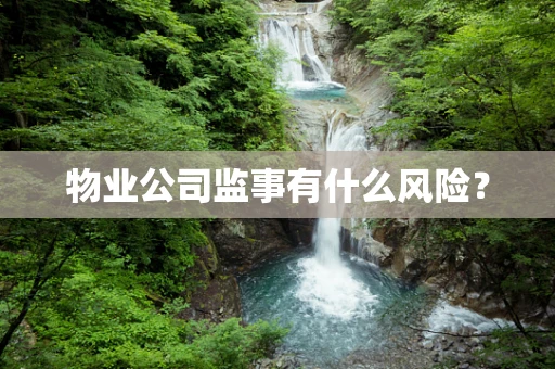 物业公司监事有什么风险？