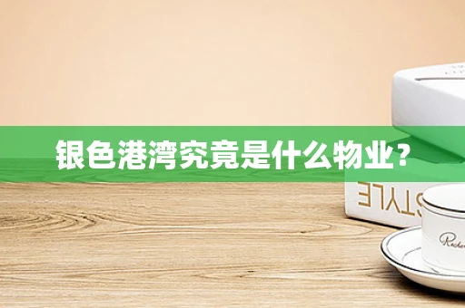 银色港湾究竟是什么物业？