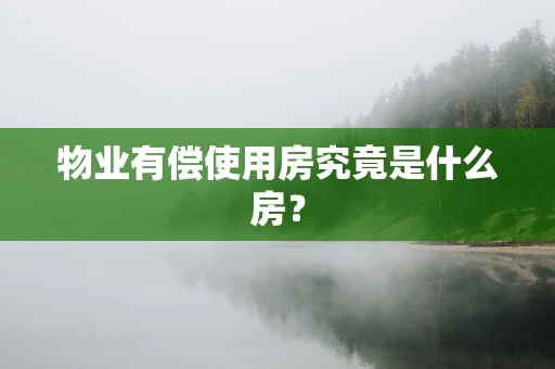 物业有偿使用房究竟是什么房？