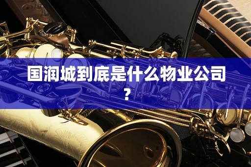 国润城到底是什么物业公司？