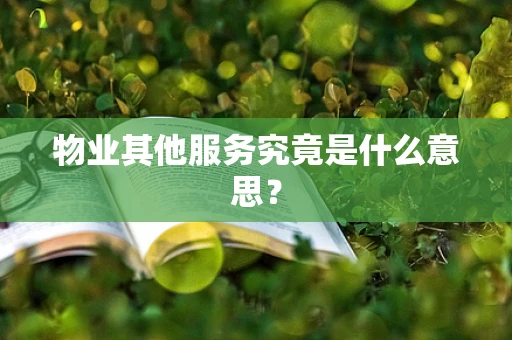 物业其他服务究竟是什么意思？