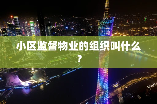 小区监督物业的组织叫什么？