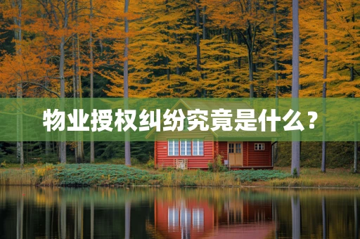 物业授权纠纷究竟是什么？