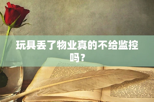 玩具丢了物业真的不给监控吗？