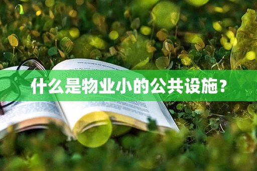什么是物业小的公共设施？