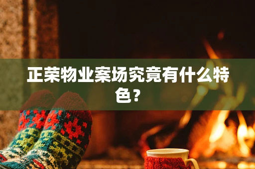 正荣物业案场究竟有什么特色？