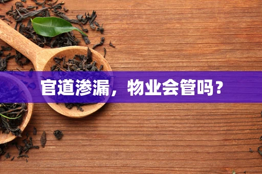 官道渗漏，物业会管吗？