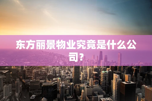 东方丽景物业究竟是什么公司？