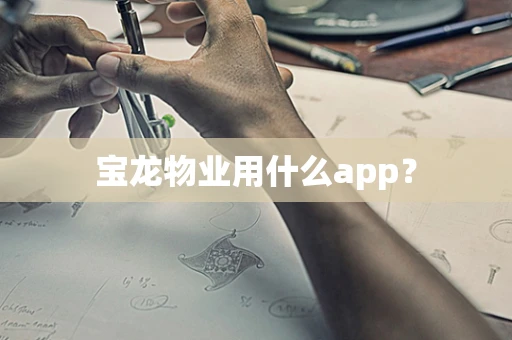 宝龙物业用什么app？