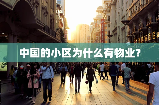 中国的小区为什么有物业？