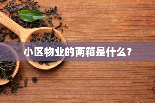 小区物业的两箱是什么？